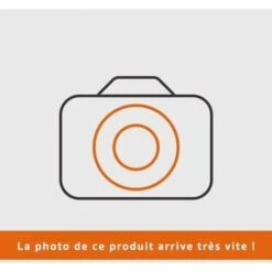 Boitier Pneumatique Motoculteur Honda